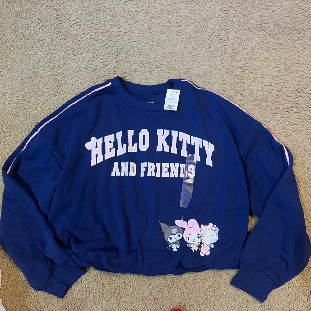 NWT Sanrio Hello Kitty and Friends Graphic Cropped Crewneck Sweatshirt XL